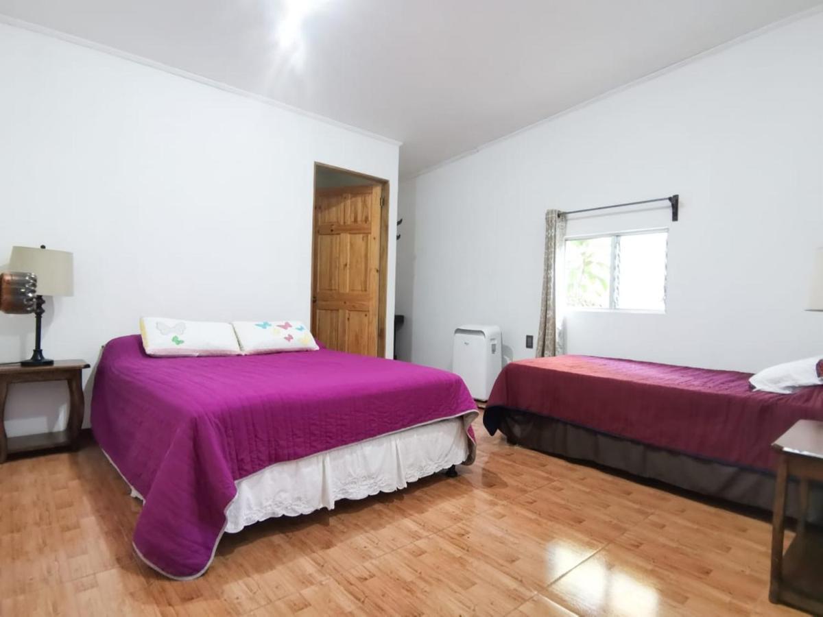 Casita Happy Feet And Tours Corcovado Hotel Drake Bay Luaran gambar